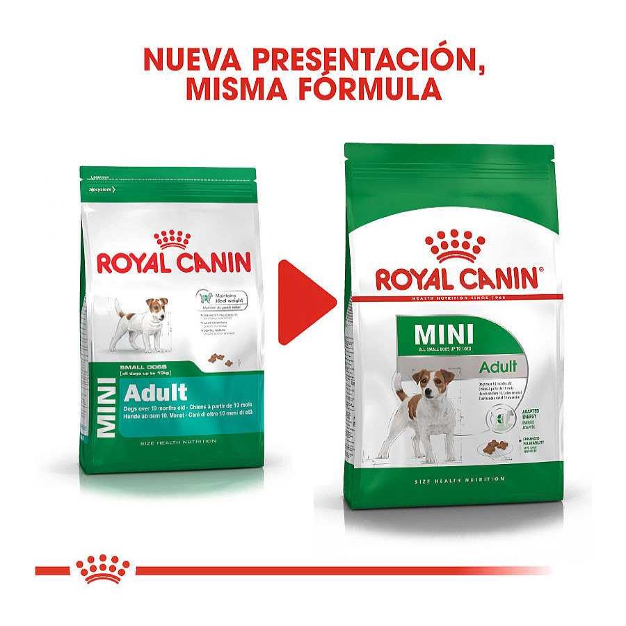 Perros Royal Canin | Royal Canin Mini Adult Pienso Para Perros