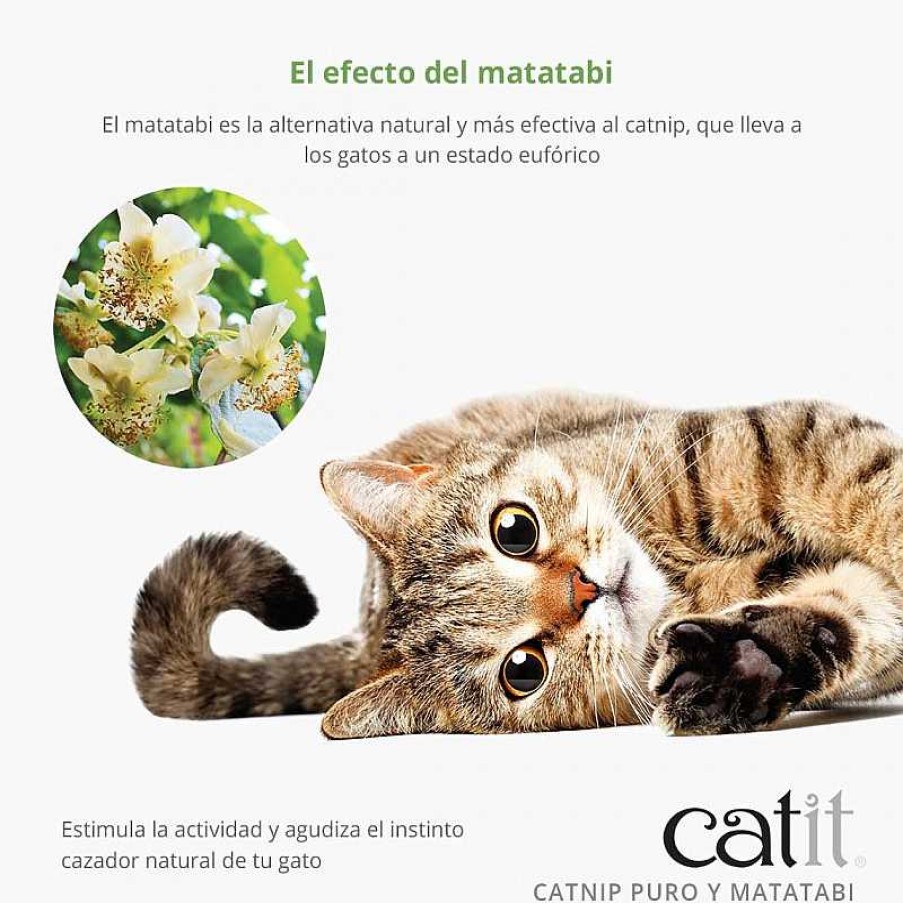 Gatos Catit Hierba | Catit Hojas Y Matabi Seco Interactivo Para Gatos