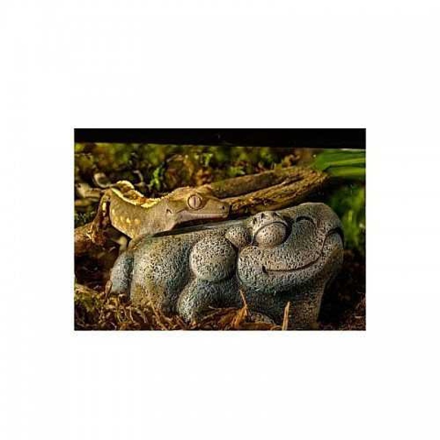 Otros Animales Exoterra Dispensadores | Bebedero Exo-Terra Azteca Frog Color Marr N