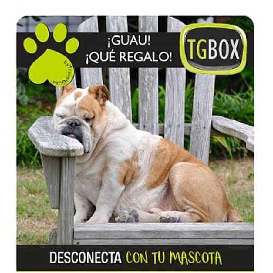 Otros Animales Tgbox Servicios | Desconecta Con Tu Mascota Tgbox