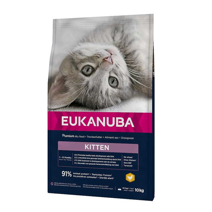 Gatos Eukanuba Pienso Para Gatitos | Eukanuba Kitten Pollo Pienso Para Gatos