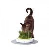 Gatos Catit Hierba | Catit Senses Grass Kit Germinador Para Gatos