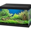 Otros Animales Ciano Aquarium Acuarios | Ciano Acuario Aqua 20 Negro