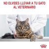 Gatos Royal Canin | Royal Canin Appetite Control Care Pienso Para Gatos