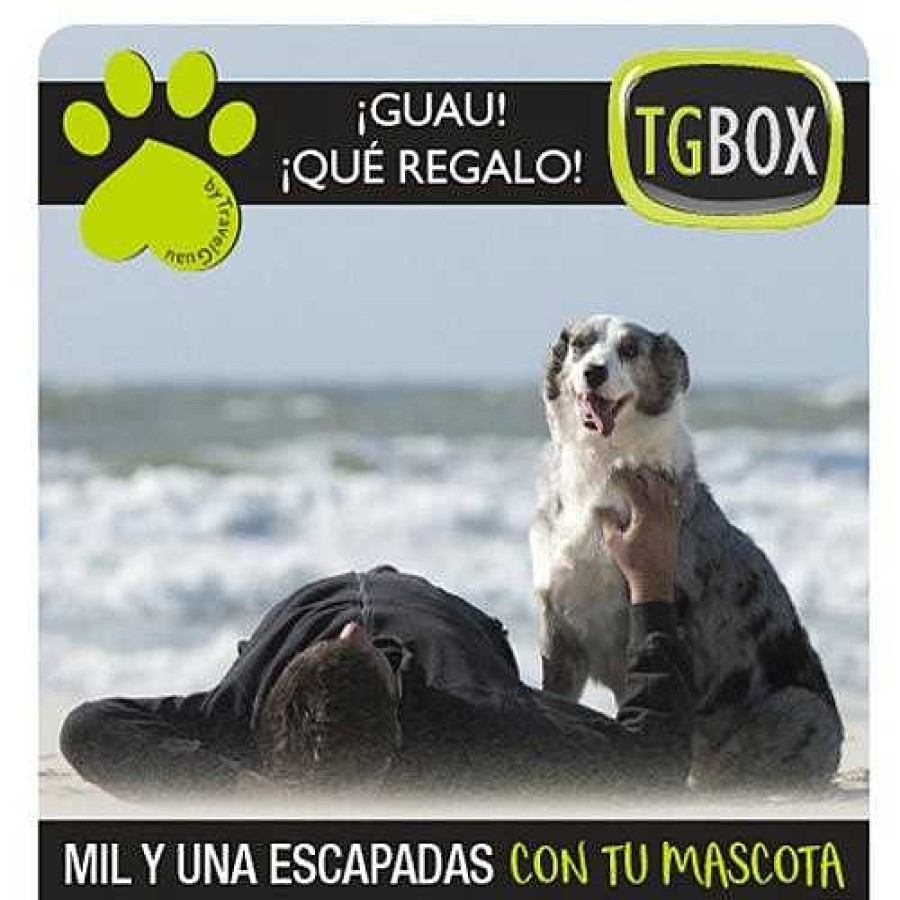 Otros Animales Tgbox Servicios | Mil Y Una Escapadas Con Tu Mascota Tgbox