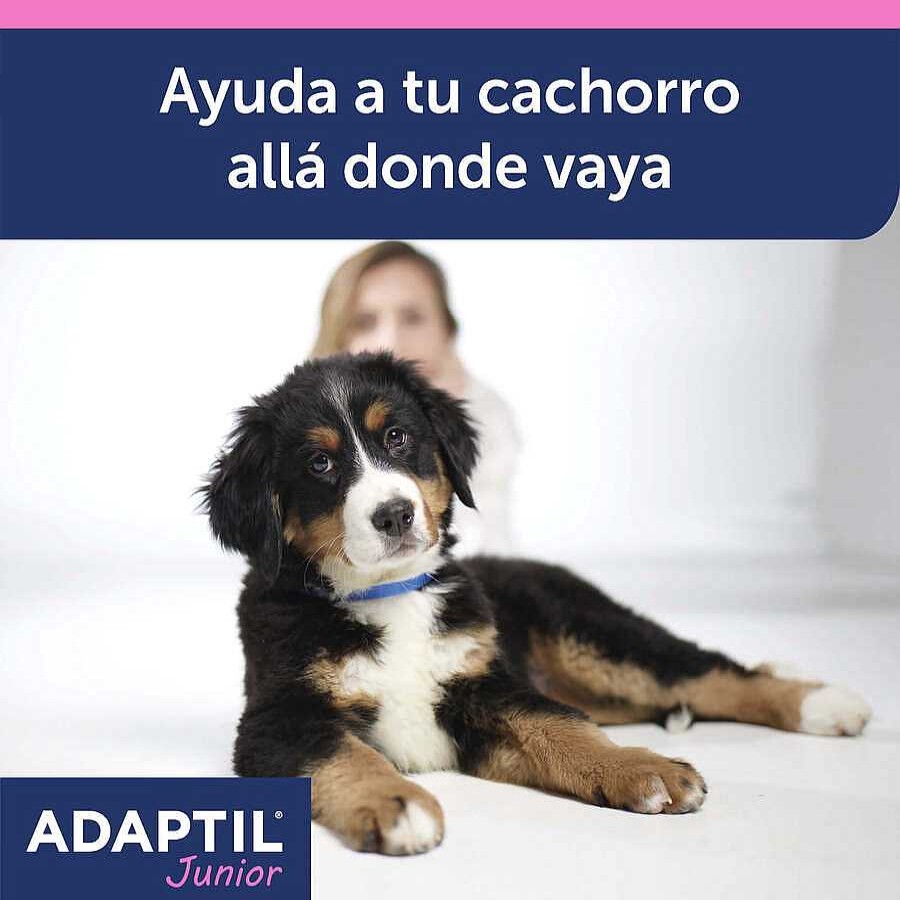 Perros Adaptil Accesorios Coche Y Viajes | Adaptil Junior Collar Anti-Estr S Para Perros