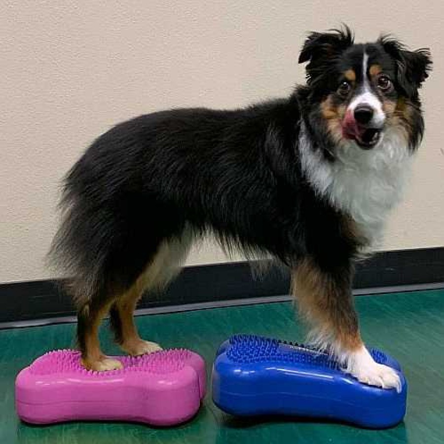 Perros Fitpaws Agility | Plataforma De Equilibrio Para Mascotas Color Azul