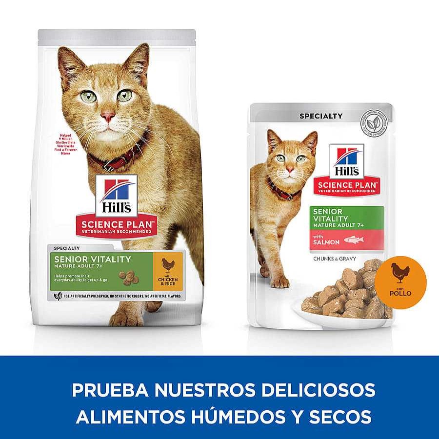 Gatos Hill's Pienso Para Gatitos | Hill'S Science Plan Youthful Vitality Pollo Pienso Para Gatos