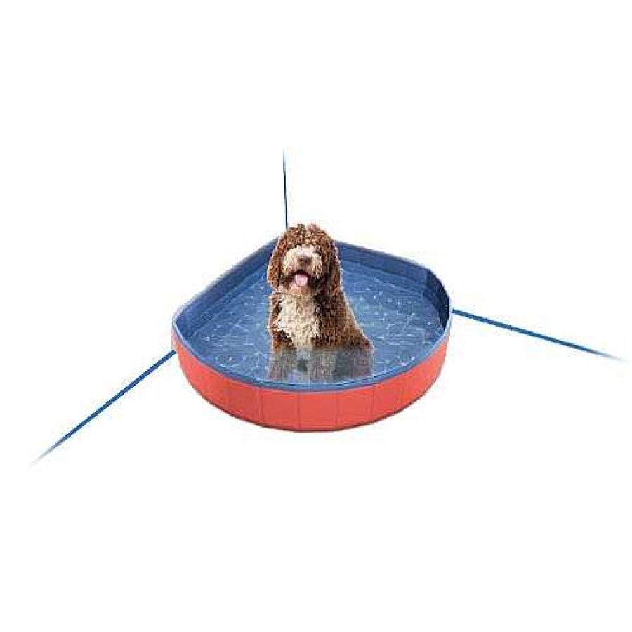 Perros Ibañez Agility | Iba Ez Piscina Mediana Para Perro