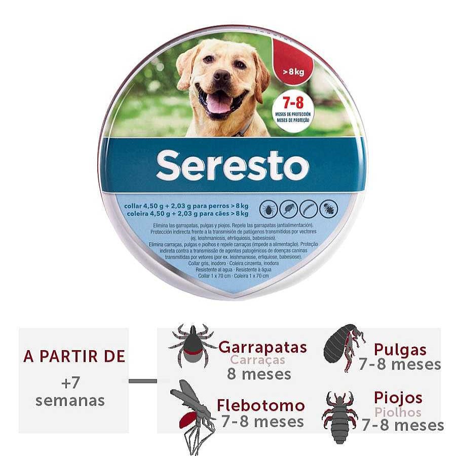 Perros Seresto Collares Antiparasitarios | Seresto Collar Antiparasitario Para Perros