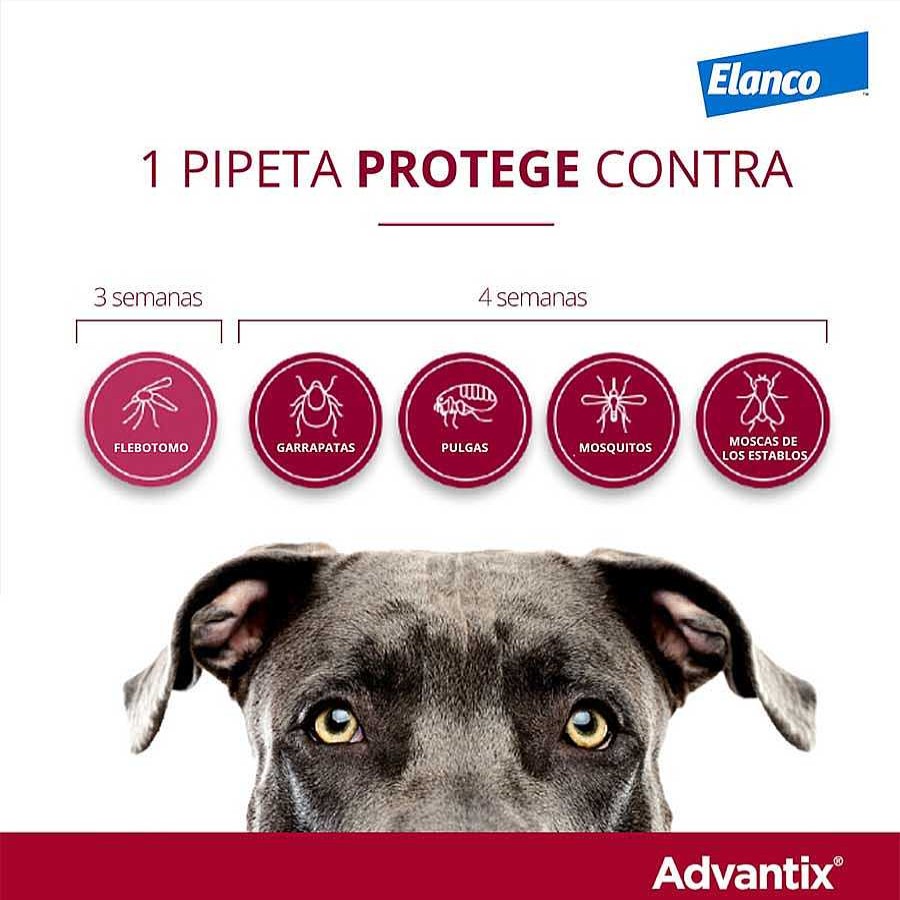 Perros Advantix Pipetas | Advantix Pipetas Antiparasitarias Para Perros