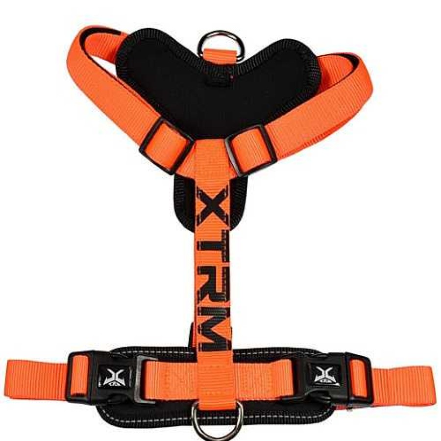 Perros Nayeco Collares Y Arneses | X-Trm Cronos Ne N Arn S Naranja Para Perros