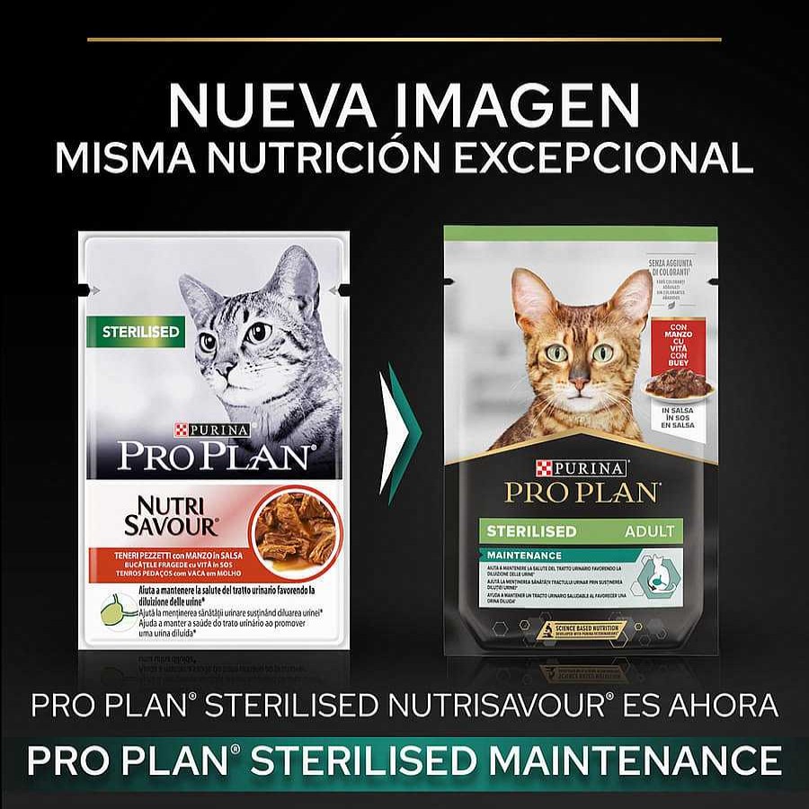 Gatos Pro Plan | Pro Plan Sterilised Maintenance Sobre Con Buey En Salsa Para Gatos