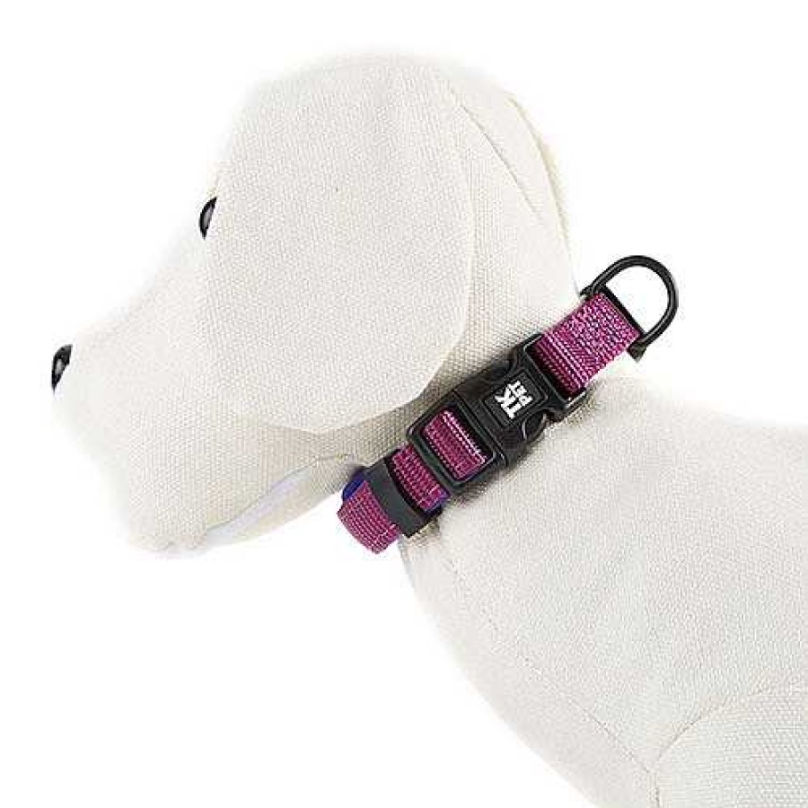 Perros TK-Pet Collares Y Arneses | Tk-Pet Neo Classic Collar De Nylon Morado Para Perros