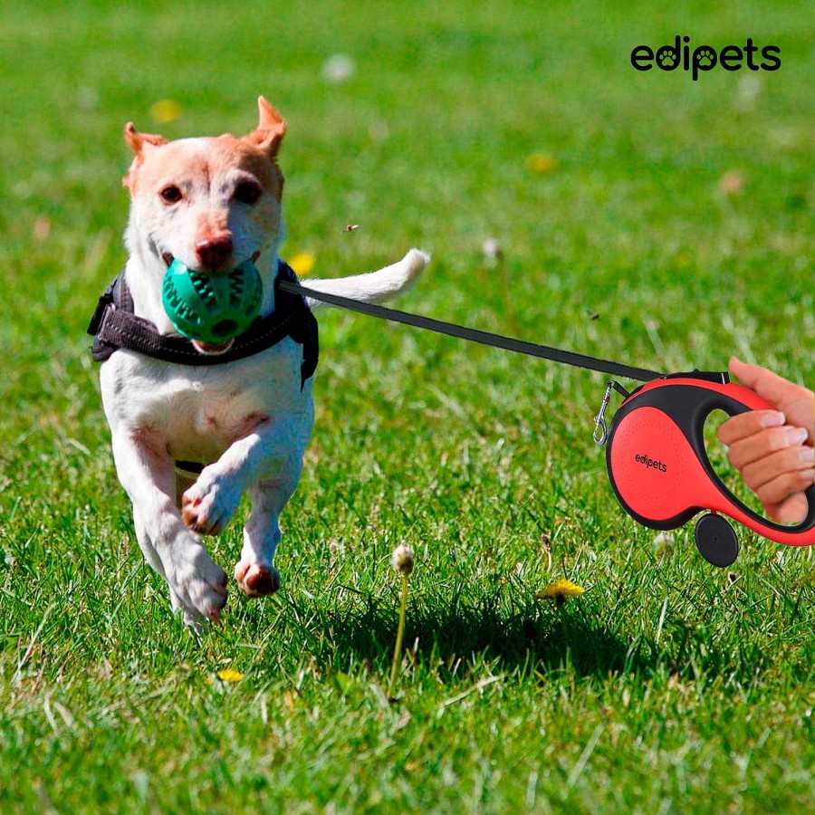 Perros Edipets Correas Para Perros | Edipets Correa Extensible Con Sistema De Frenado Rojo Para Perros