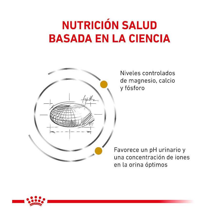 Gatos Royal Canin | Royal Canin Veterinary Urinary Pienso Para Gatos