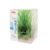 Otros Animales Zolux Decoraci N De Acuarios | Zolux Wiha N°1 Kit De Plantas Artificales Para Acuario Aquaya