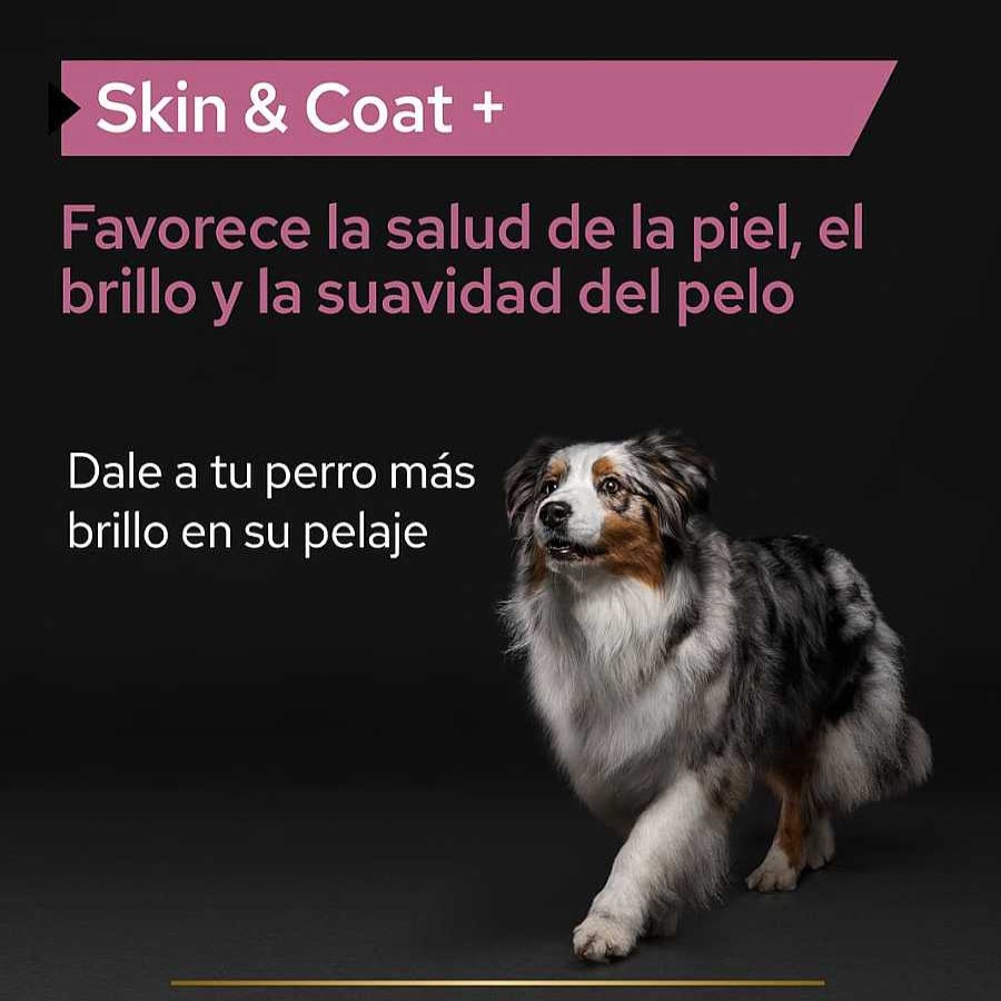 Perros Pro Plan Suplementos Nutrici N | Pro Plan Skin & Coat Suplemento En Aceite Para Perros