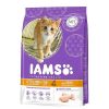 Gatos Iams Pienso Para Gatitos | Iams Kitten&Junior Pollo Pienso Para Gatos