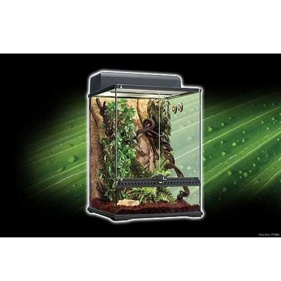 Otros Animales Exoterra Terrarios | Kit De H Bitat Tropical Peque O Para Reptiles