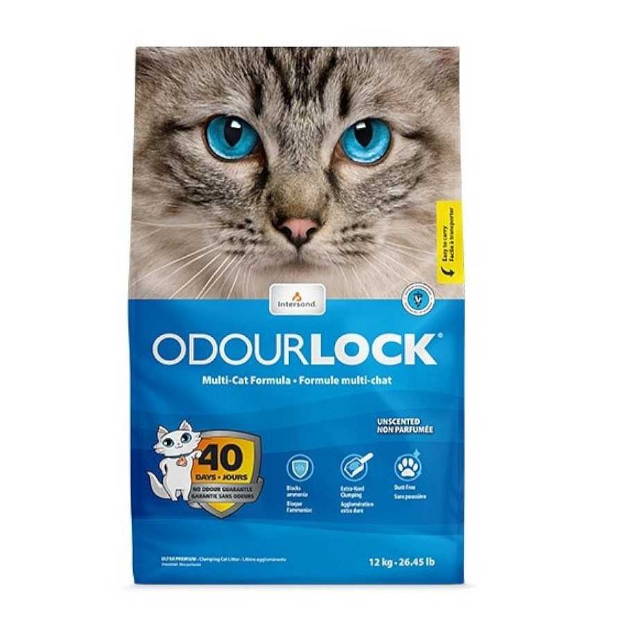 Gatos Odourlock Arena Aglomerante | Intersand Odourlock Arena Aglomerante Inolora Para Gatos