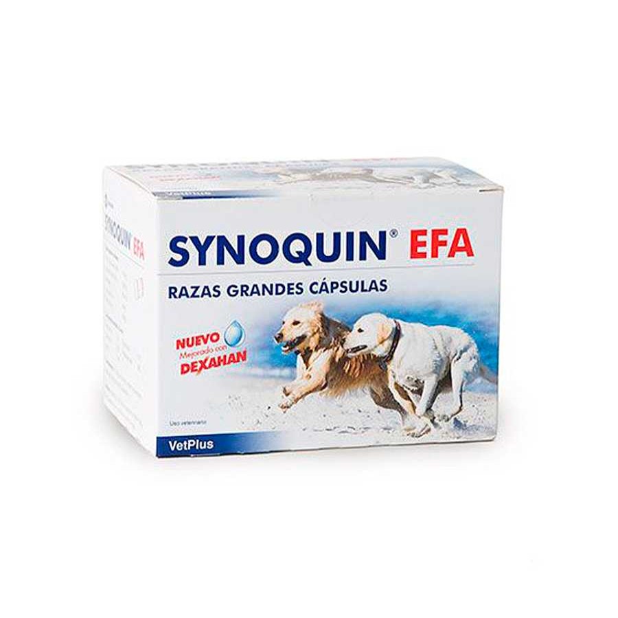 Perros Vetplus Suplementos Nutrici N | Vetplus Synoquin Efa Condroprotector En C Psulas Para Perros De Razas Grandes