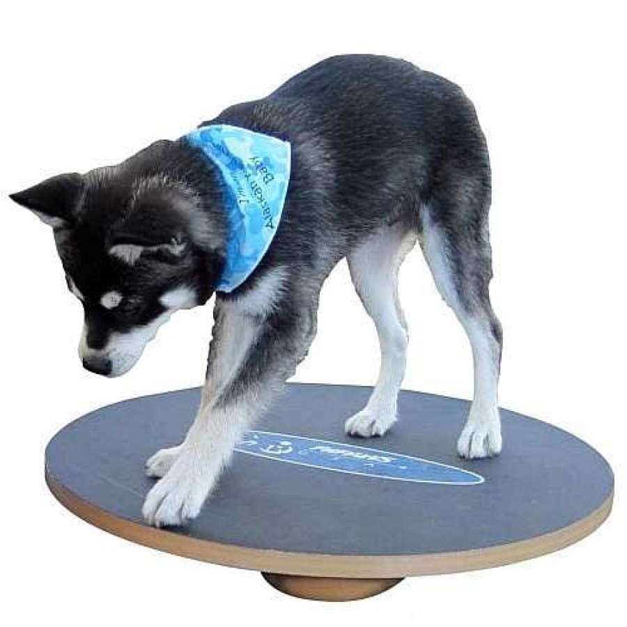 Perros Fitpaws Agility | Tabla De Equilibrio Para Perros Color Negro