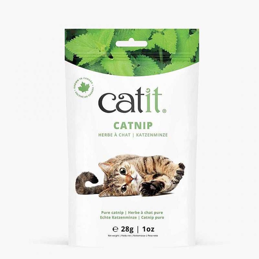 Gatos Catit Hierba | Catit Catnip Plantas Relajantes Para Gatos