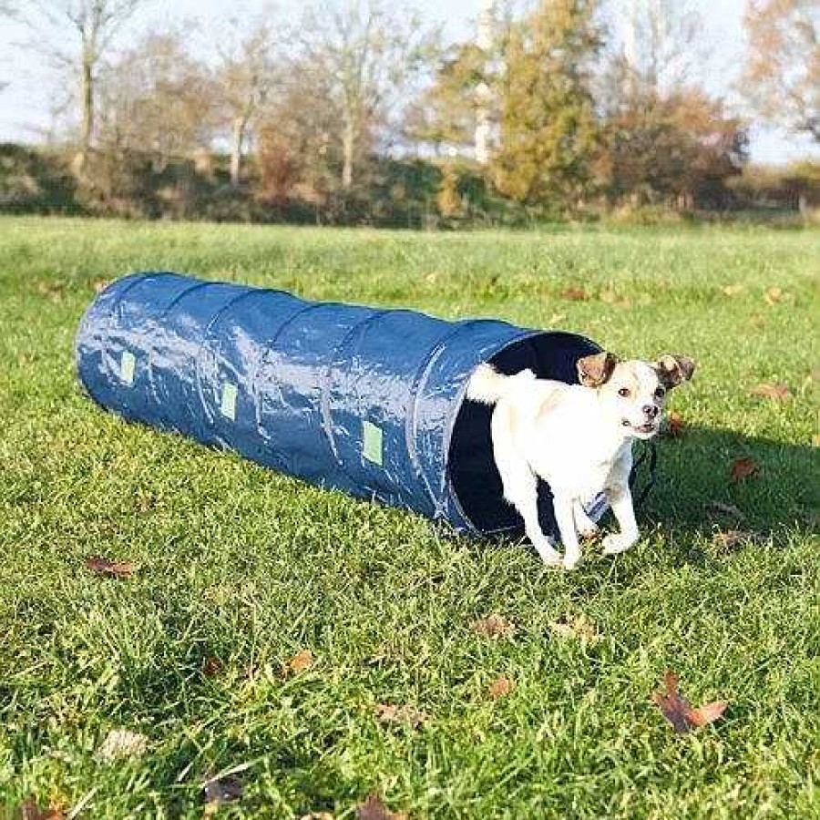 Perros Trixie Agility | T Nel De Agilidad Para Perros Color Azul