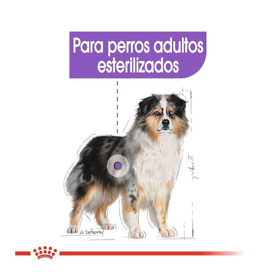 Perros Royal Canin | Royal Canin Sterilised Medium Pienso Para Perros