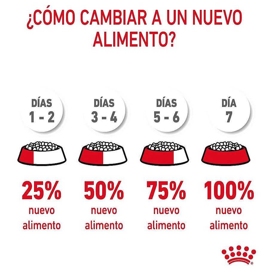 Gatos Royal Canin | Royal Canin Adult Digestive Pienso Para Gatos