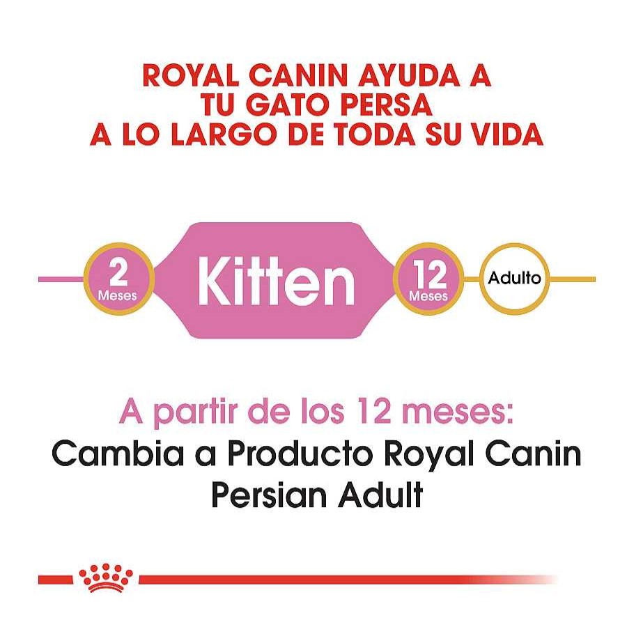 Gatos Royal Canin Pienso Para Gatitos | Royal Canin Kitten Persia Pienso Para Gatos