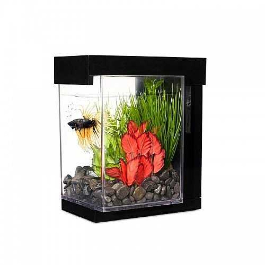 Otros Animales Marina Acuarios | Kit Acuario Marina Betta Ez Care Style Color Negro