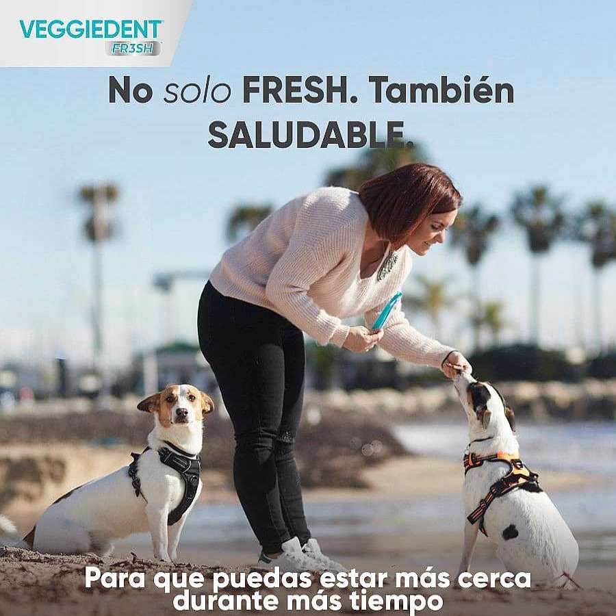 Perros Virbac Dentales | Virbac Snacks Dentales Veggiedent Fresh Para Perros Toy