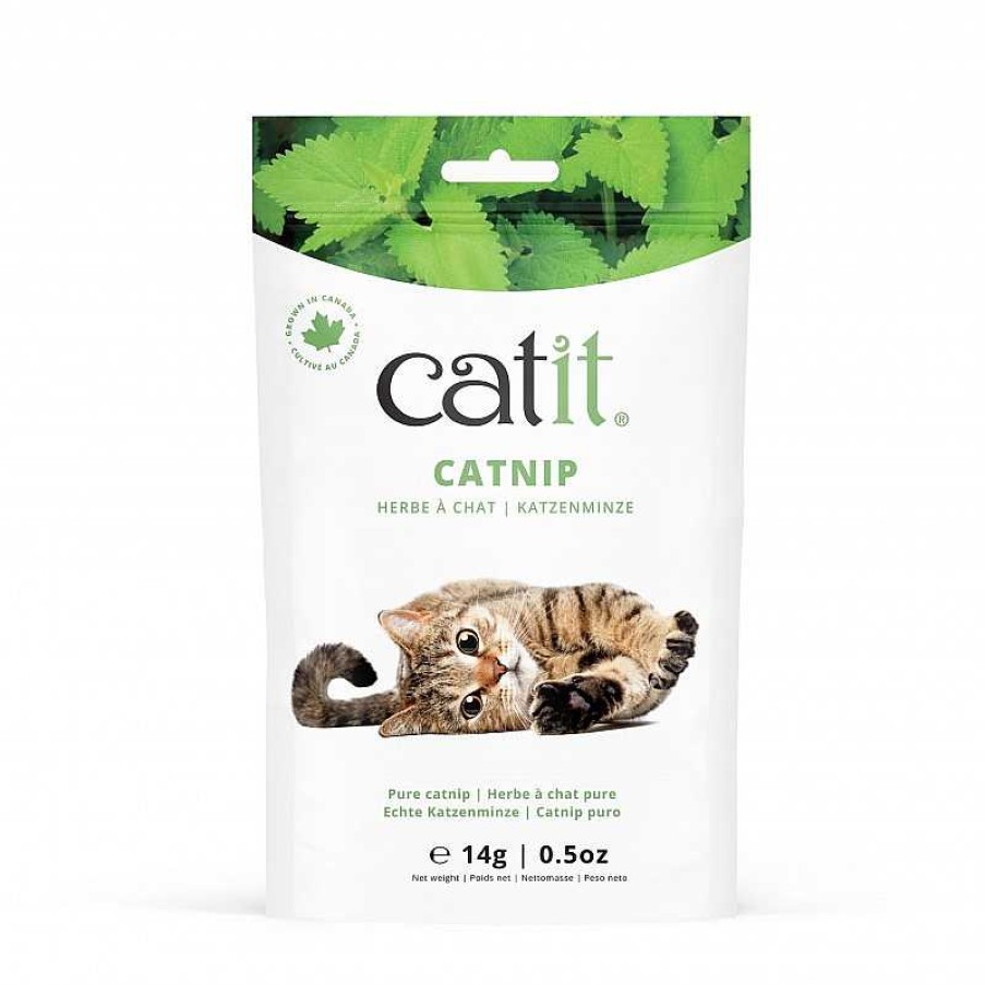 Gatos Catit Hierba | Catit Catnip Plantas Relajantes Para Gatos