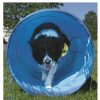 Perros Ribecan Ocio Y Tiempo Libre | Ribecan Agility T Nel Flexible Para Perros