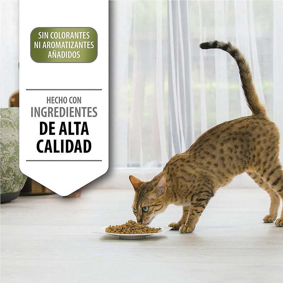 Gatos Pro Plan | Pro Plan Adult Sterilized Salm N Pienso Para Gatos