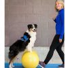 Perros Fitpaws Agility | Plataforma De Equilibrio Para Mascotas Color Amarillo