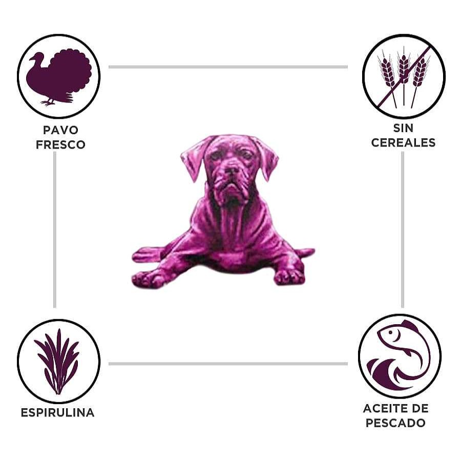 Perros Criadores | Criadores Adulto Grain Free Pavo Pienso Para Perros De Raza Mediana Y Grande