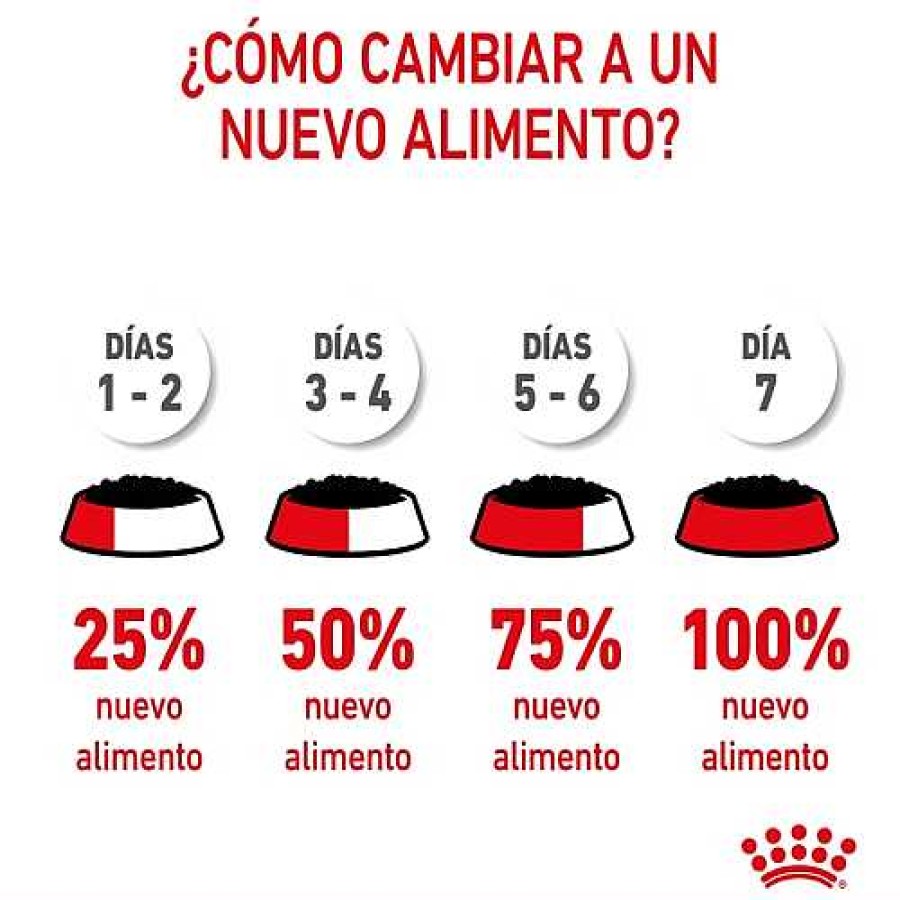 Perros Royal Canin | Royal Canin Medium Puppy Sobres