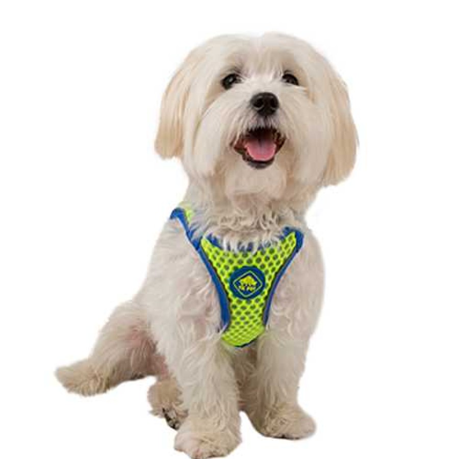 Perros TK-Pet Collares Y Arneses | Tk-Pet Easy Click Arn S Lima Para Perros