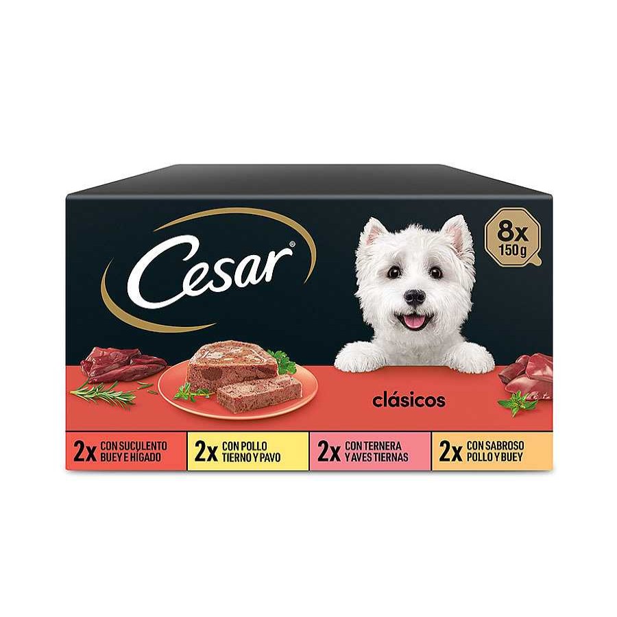 Perros Cesar | Cesar Selecci N Clasicos Tarrina En Pat Para Perros - Multipack