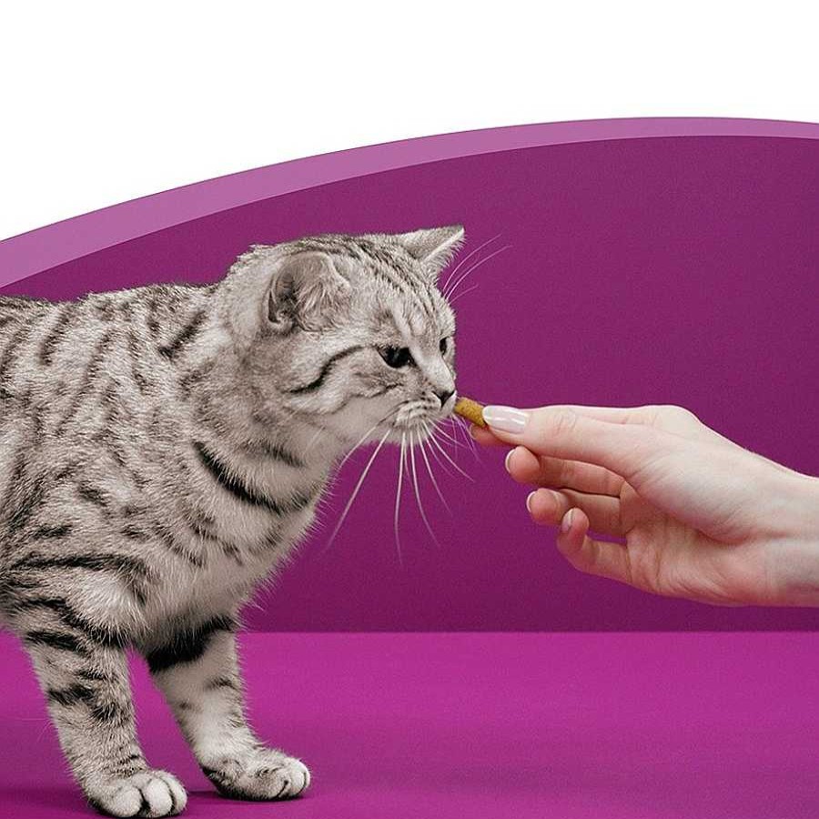 Gatos Whiskas Premios Y Entretenimiento | Whiskas Anti-Hairball Snacks Para Gatos