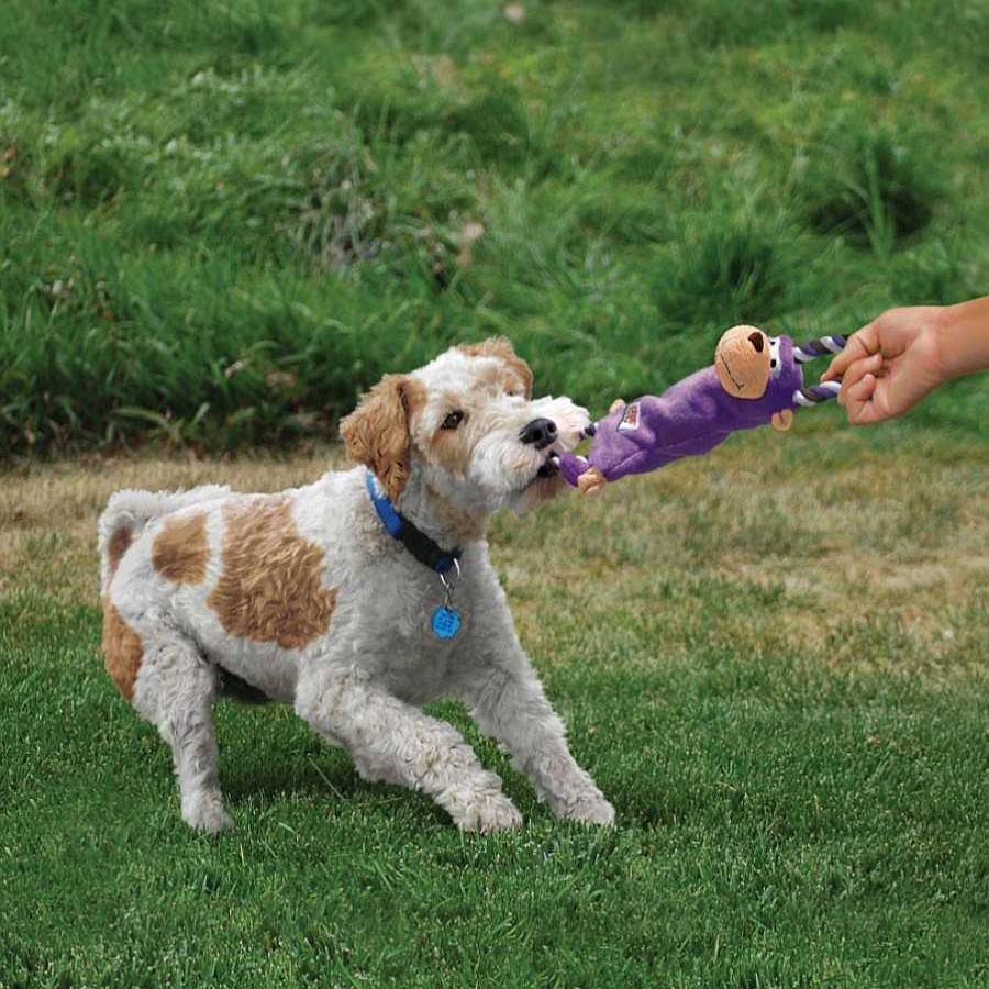 Perros Kong Juguetes Para Cachorros | Kong Tugger Knots Rana Con Cuerda De Peluche Para Perros