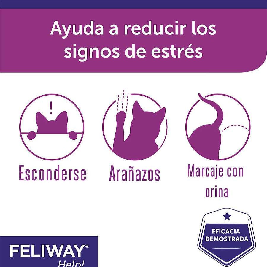 Gatos Feliway Productos Para La Salud | Feliway Help Difusor Y Recambio Con Feromonas Para El Estr S Ocasional