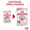 Gatos Royal Canin | Royal Canin Kitten Pat Sobre Para Gatos