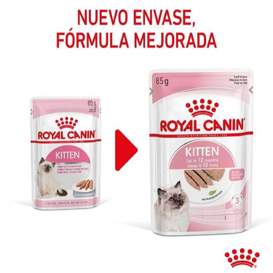 Gatos Royal Canin | Royal Canin Kitten Pat Sobre Para Gatos