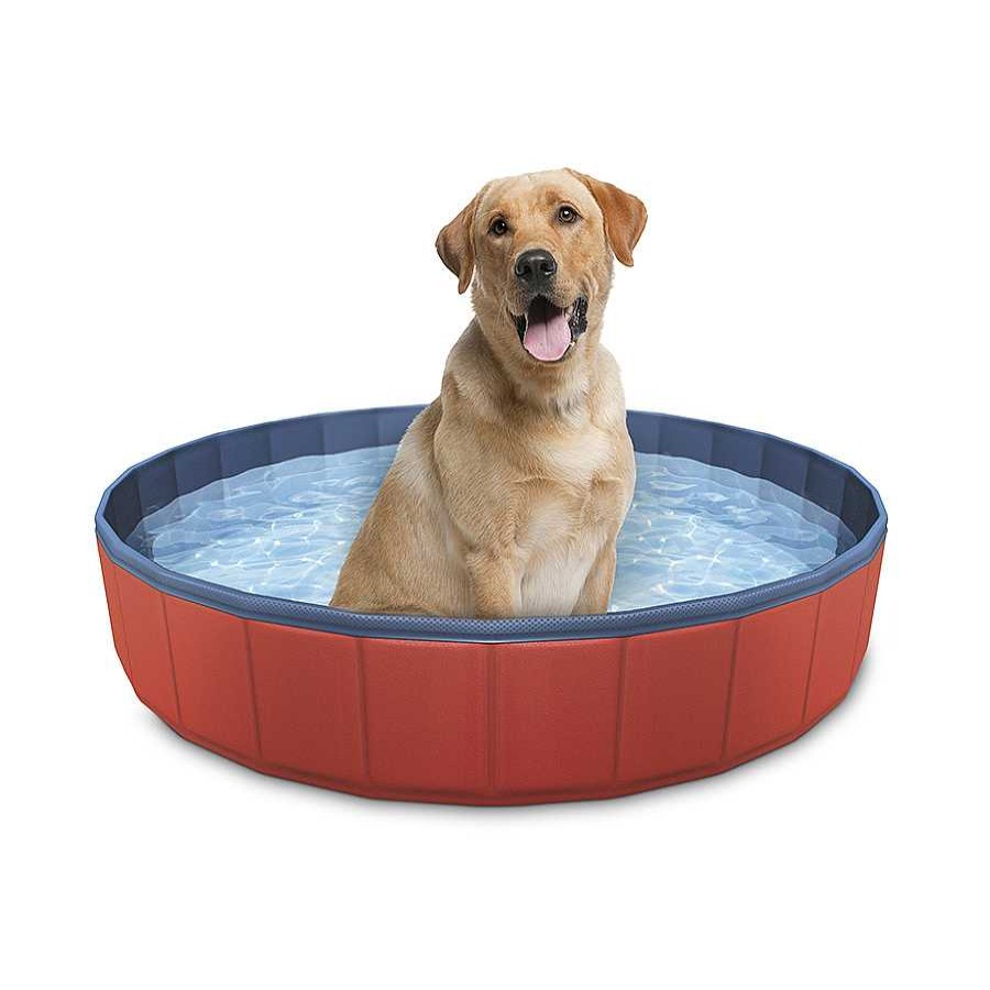 Perros Summer Vibes Ocio Y Tiempo Libre | Summer Vibes Piscina Para Perros