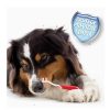 Perros Beaphar Salud Dental | Beaphar Kit Dental Para Perros