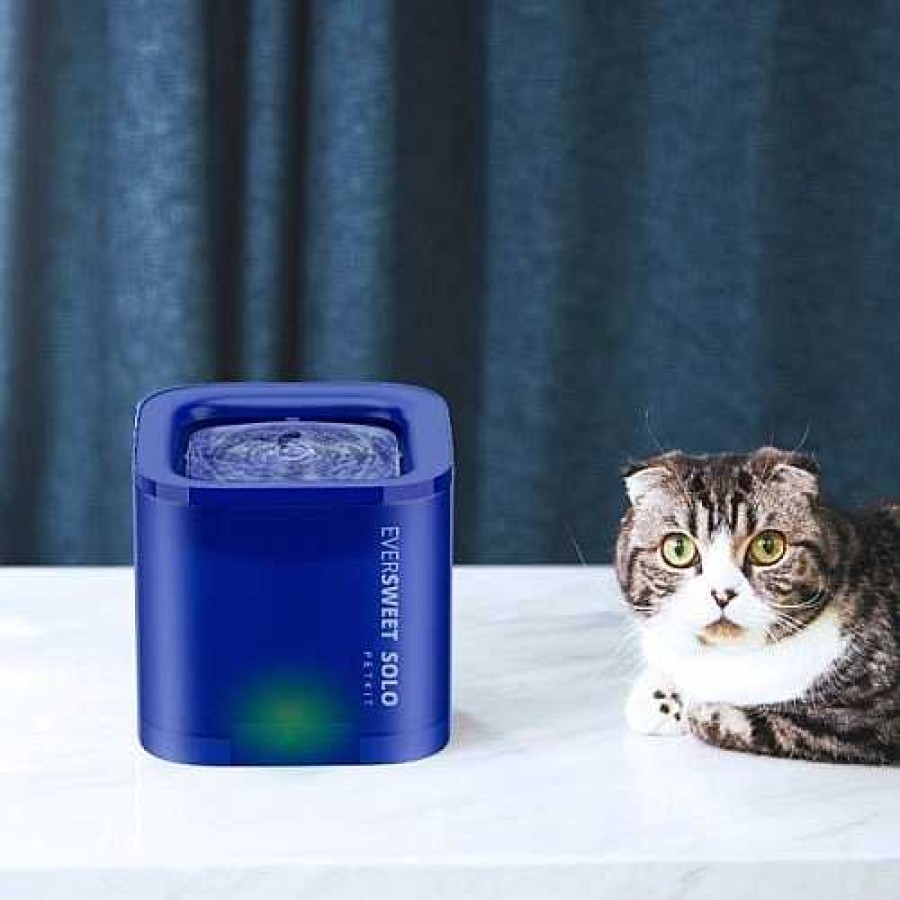 Gatos Petkit Comederos Y Bebederos | Petkit Fuente Inteligente De Agua Para Gatos